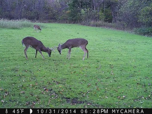 293 Rr 3, Chelsea, OK 74016