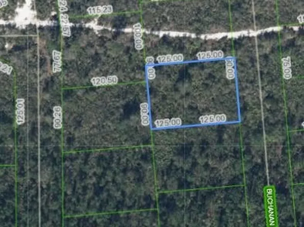 648 Buchanan St, Lake Placid, FL 33852