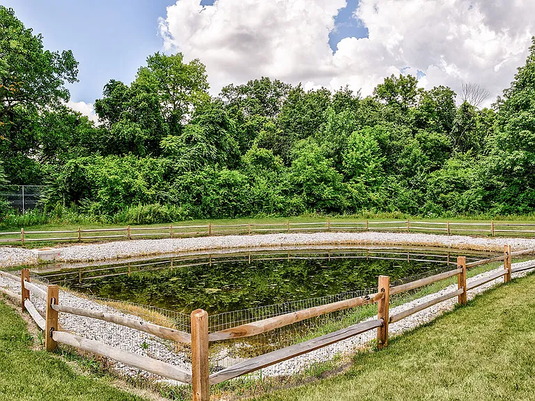 Pond