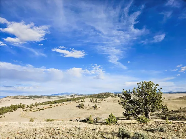 PCS#24142 Antero Road, Hartsel, CO 80449