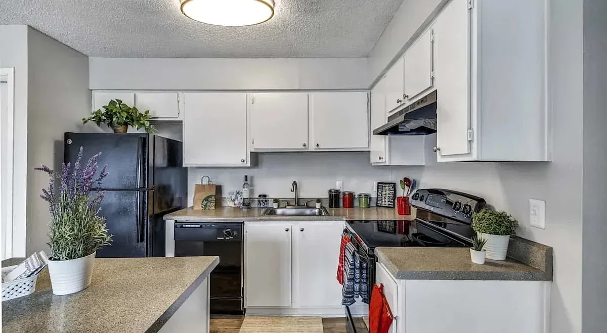 1 bed, 600 sqft, $749 — Photo 2