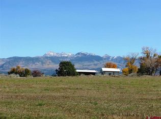 7051 Road 39, Mancos, CO 81328