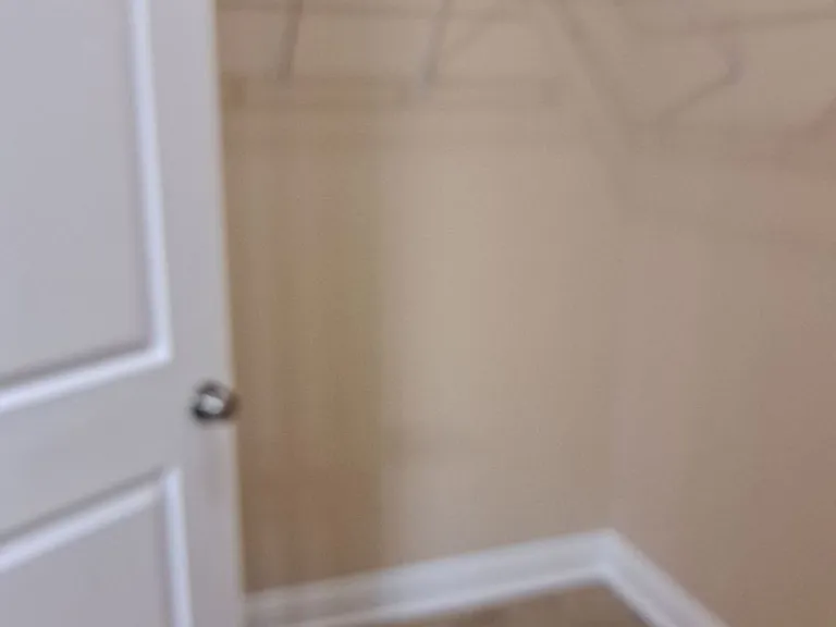 2934 Palmetto Ridge Way — Photo 26