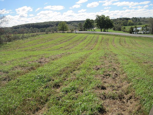 2nd image of Phase 5 Lot 36 Hwy J3t