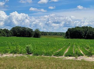 37 Inkberry Rd, St matthews, SC 29135