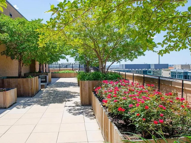 1010 Massachusetts Ave NW #Penthouse 108 — Photo 19
