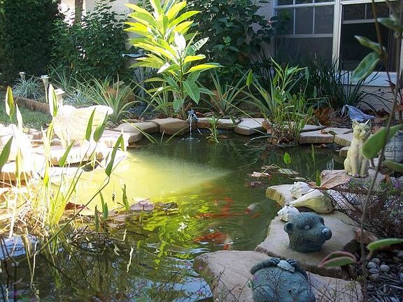 Fish pond