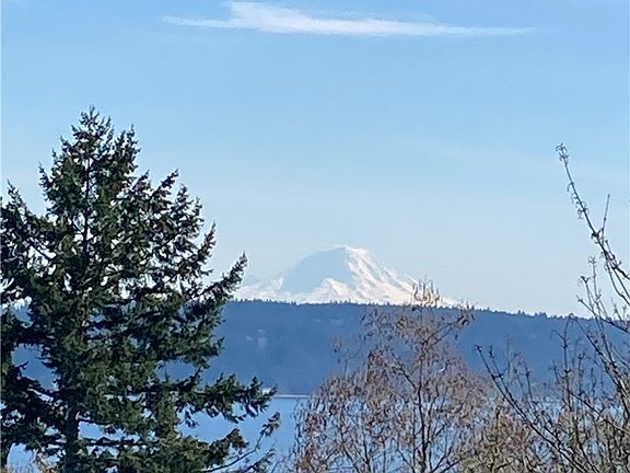 Mt Rainier


