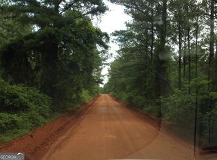 0 Devoe Rd, Andersonville, GA 31711