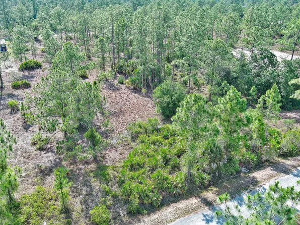 317 Fitch Ave, Lehigh Acres, FL 33936