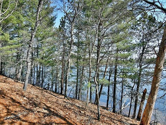 3rd image of Lot 1 Bond Leader Lake Road