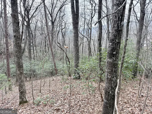 0 Monarch Ln, Clayton, GA 30525