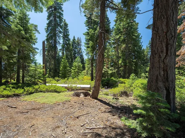 425 Nightingale Ct, Carnelian Bay, CA 96140