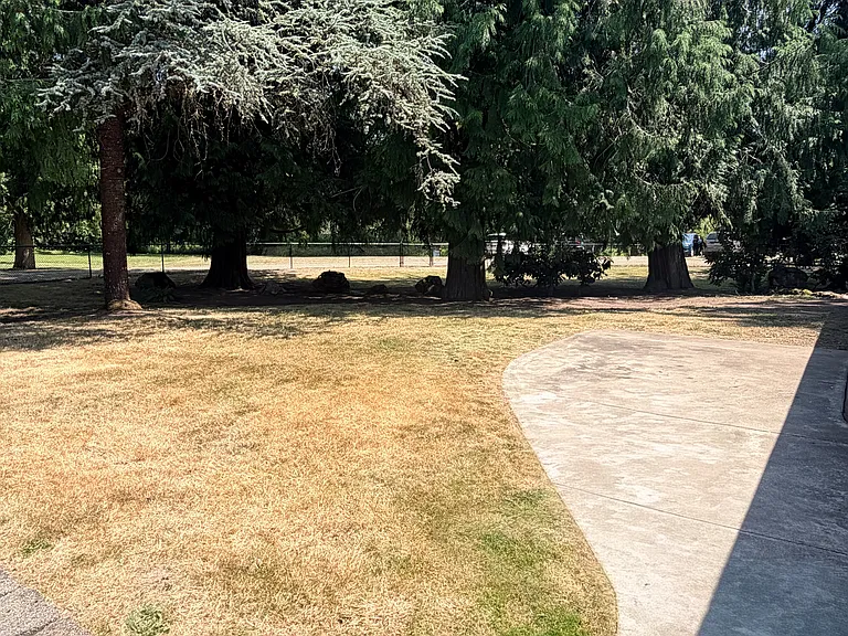 28650 Kent Black Diamond Rd SE — Photo 30