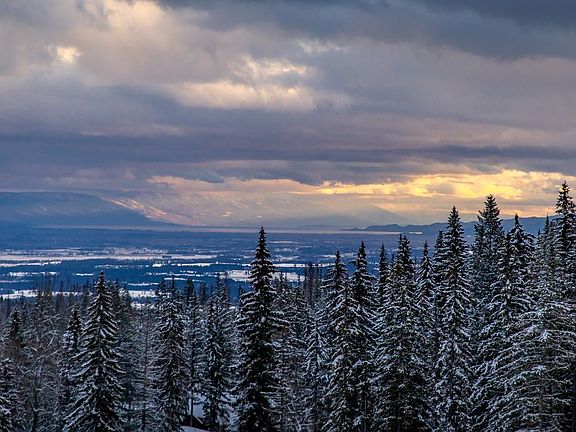 3rd image of 3898 Big Mountain Rd #307