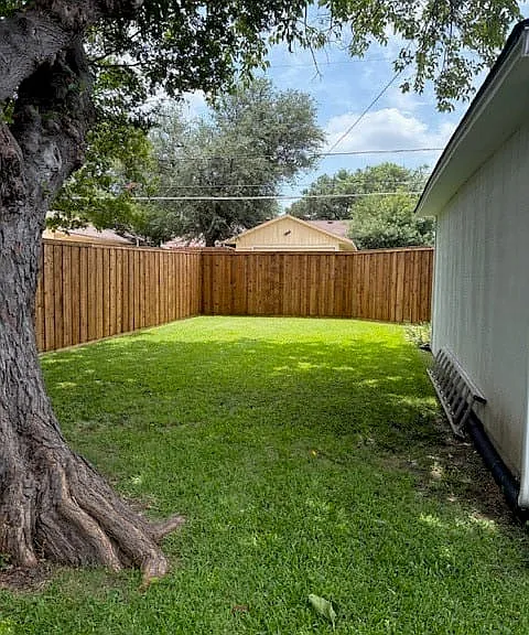 another view of the yard