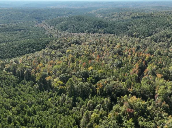 3 County Road 29, Moundville, AL 35474