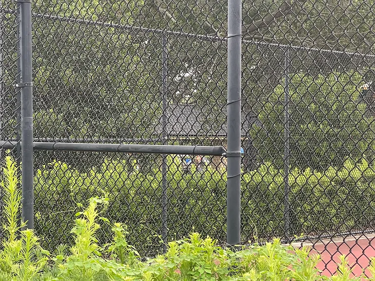 Moreland Dr — Photo 8