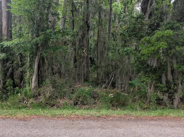 5219 CHICORY Circle, Middleburg, FL 32068