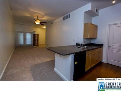 401 20th St S APT 115, Birmingham, AL, 35233