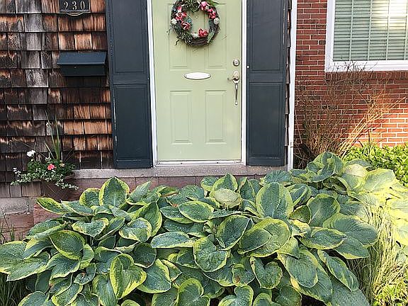 4th image of 230 Bernhardt Dr