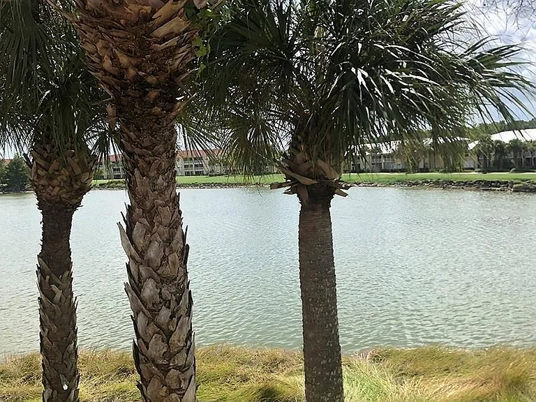 2790 Cypress Trace Cir #2225 — Photo 23