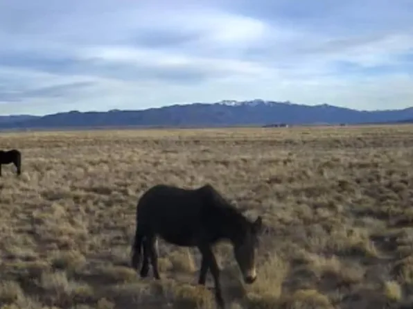 00 Acoma Trail, San Luis, CO 81152