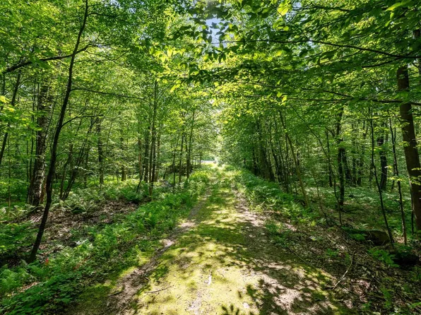 115 Stone Hill Road, Bolton, VT 05477