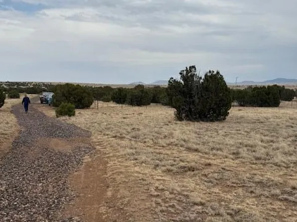 78 County Road 8010, Concho, AZ 85924