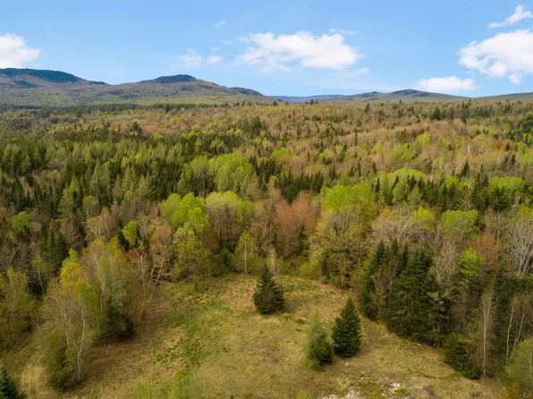 Lot 11 Paris Road, Dummer, NH 03588