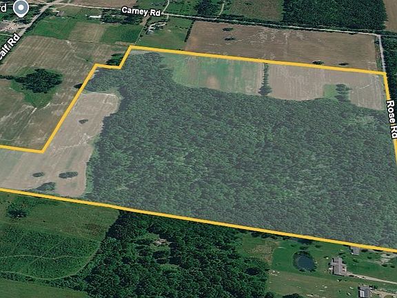 5th image of Rose Rd