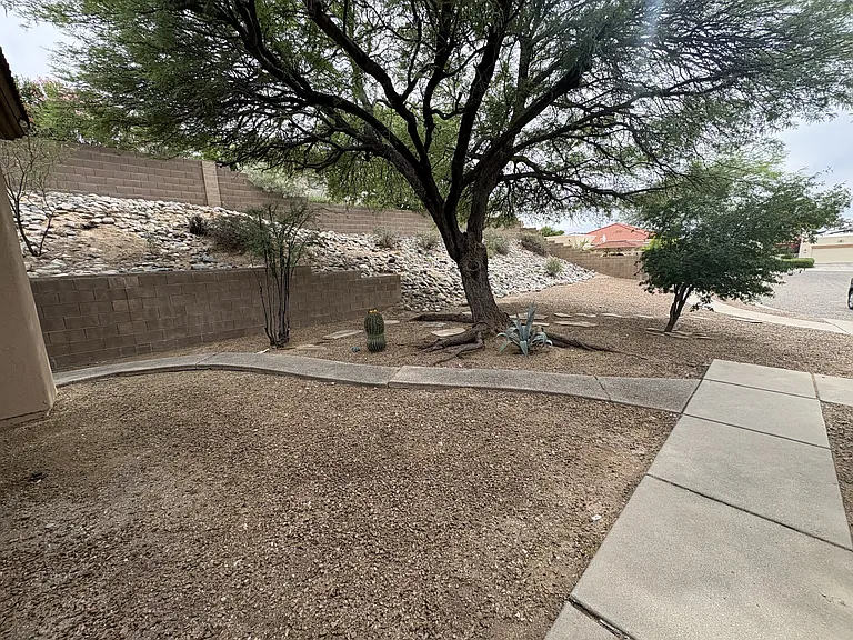 Front yard