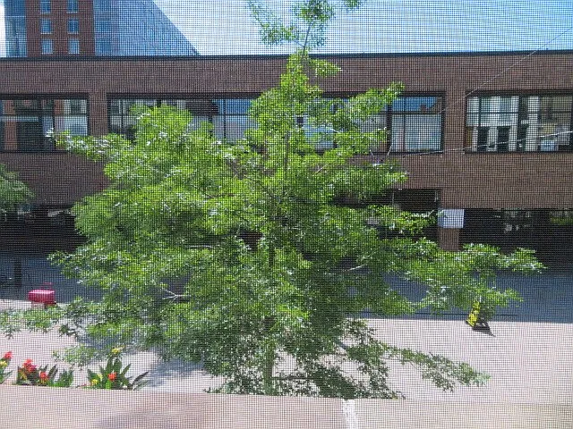212 E State St — Photo 21