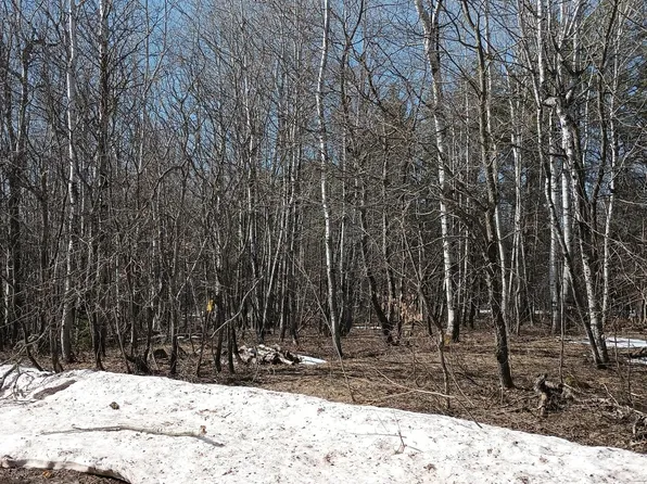 LOT 39 Snowball Ct, Bessemer, MI 49911