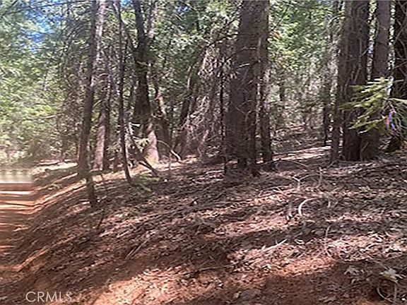 3rd image of 15052 Red Hill Spring Rd #140