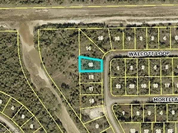 1959 Walcott Loop, Lehigh Acres, FL 33972