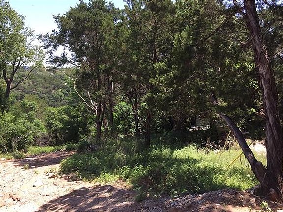 Great trees and views of wildlife!