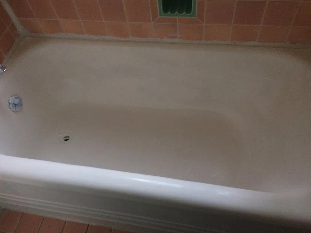 1 bed, 800 sqft, $900 — Photo 3