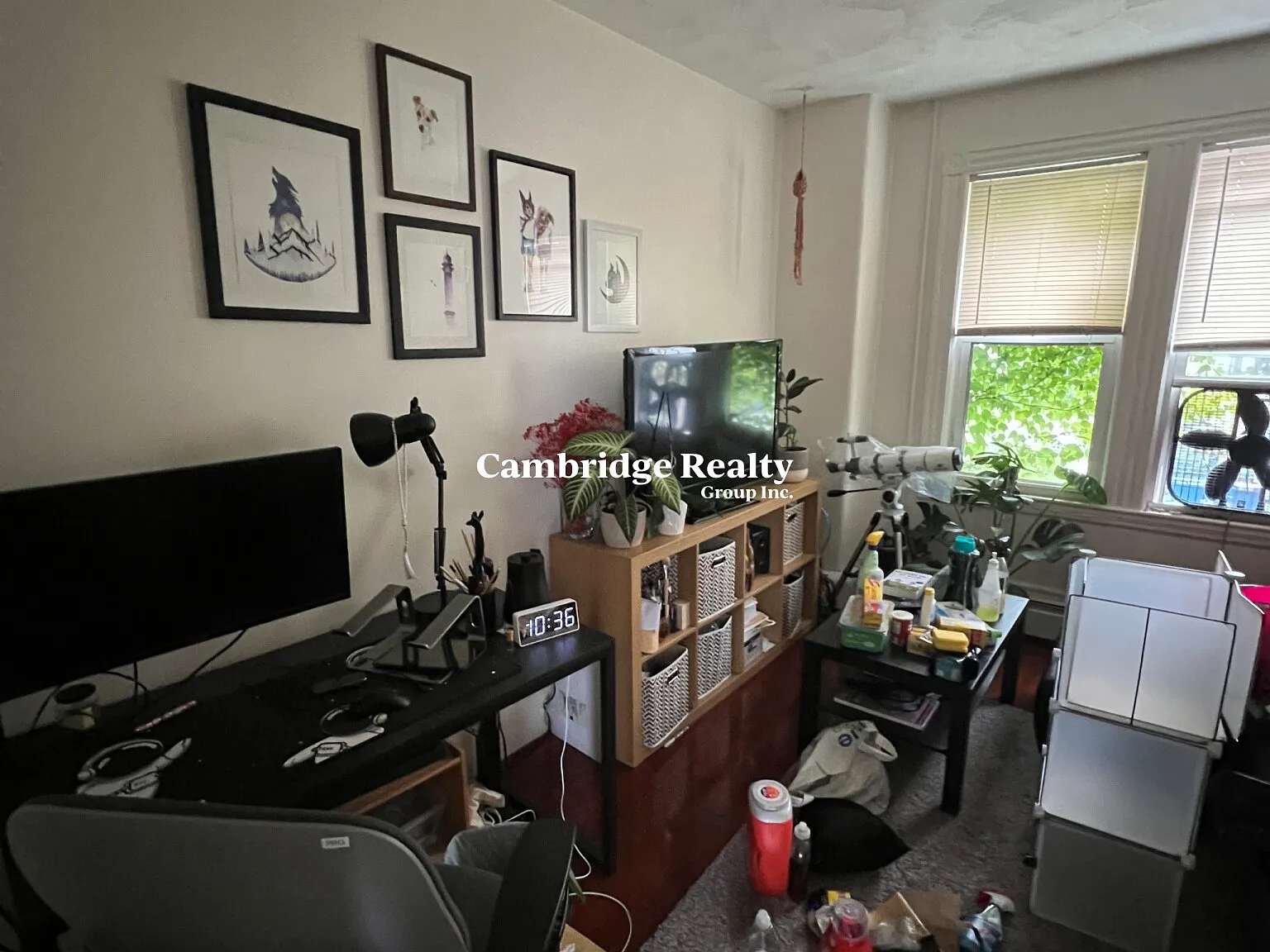 1 bed, 1.0 bath, $2,600 — Photo 4