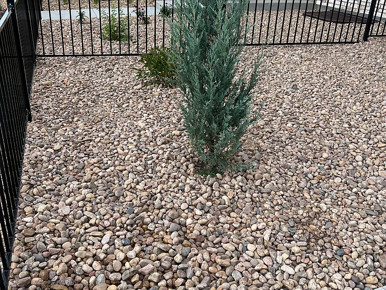 168 High Point Dr — Photo 3