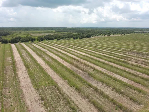 0 Kuder Ranch Rd, Haines City, FL 33844