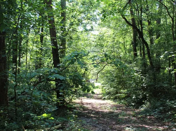 154 Silvers Rd, Chatsworth, GA 30705