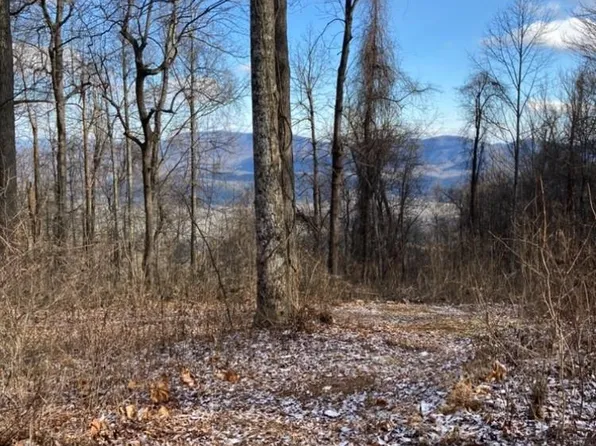 2523 Creston Dr #T24, Black Mountain, NC 28711