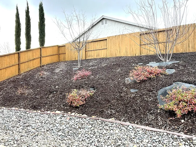 Spacious side yard