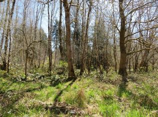 0 Western Ln, Oakville, WA 98568