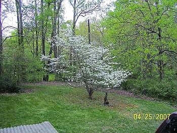 2nd image of 8410 Sleepy Hollow Rd