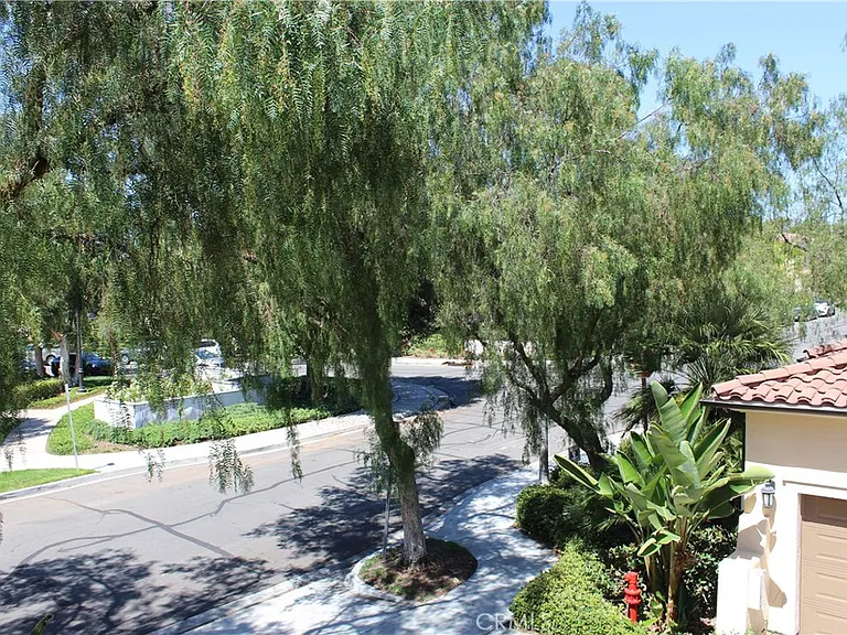 48 Nature — Photo 14