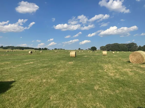 265 Fm 2137 N, Bullard, TX 75757