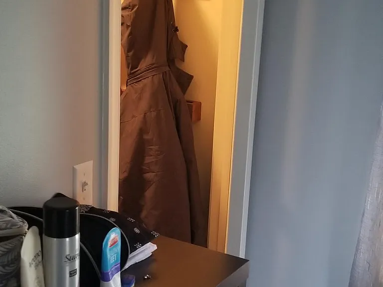 49 Honeysuckle Dr — Photo 12