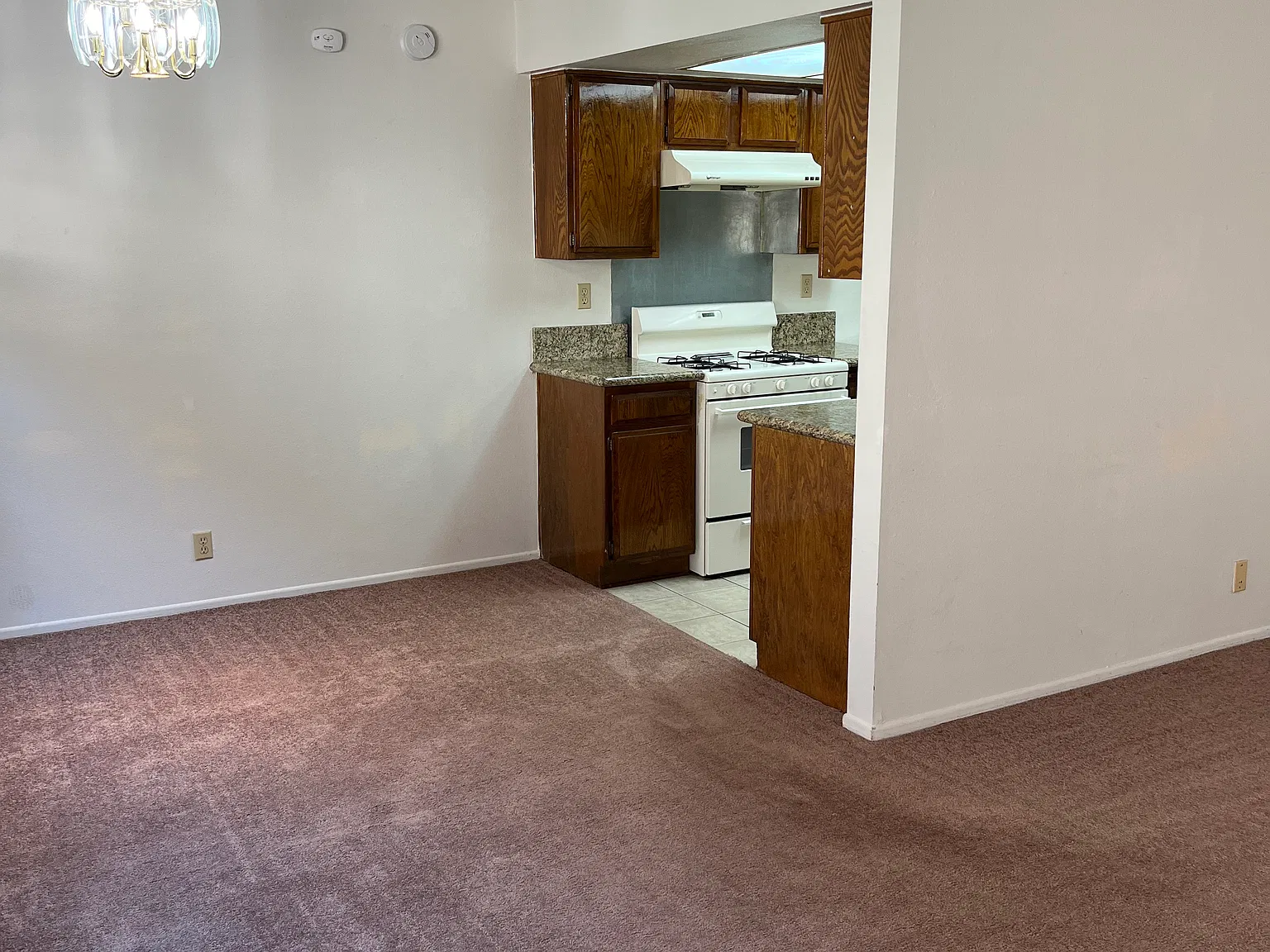 1 bed, $1,900 — Photo 4
